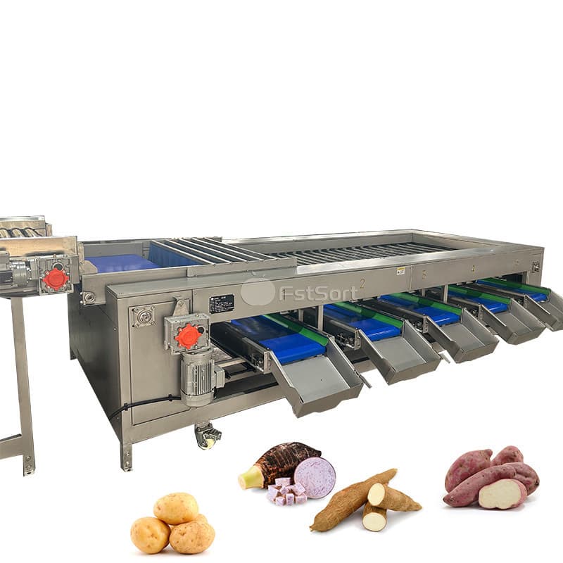 images/1764734354579potato sorting 2.jpg